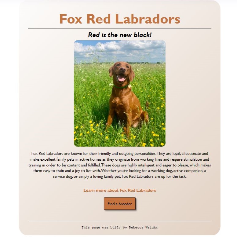 fox red labrador website